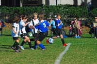 ErinJ_Fall_2011_0039