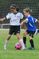 ErinJ_Fall_2011_0058